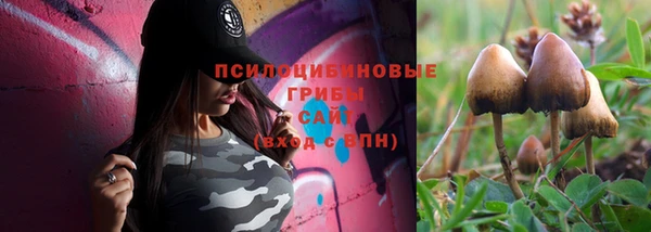 spice Каменногорск