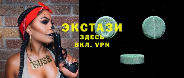мдпв Гатчина