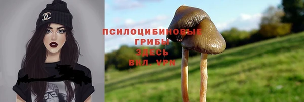молекула духа Вуктыл