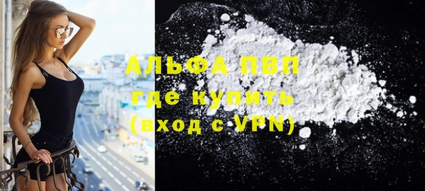 мдпв Гатчина