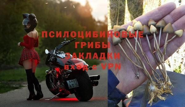 ALPHA PVP Зерноград