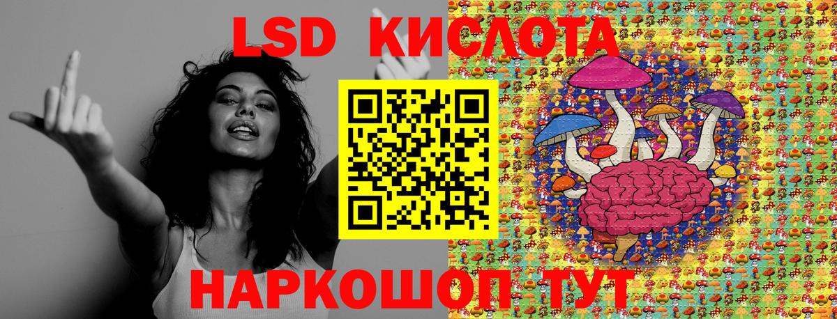 Каменка  Марки 25I-NBOMe 1,5мг  Вход с VPN  Наркотические марки  Марки 25I-NBOMe 1,5мг 