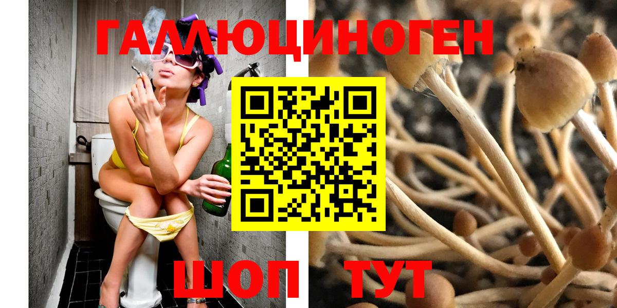 Галлюциногенные грибы MAGIC MUSHROOMS Каменка