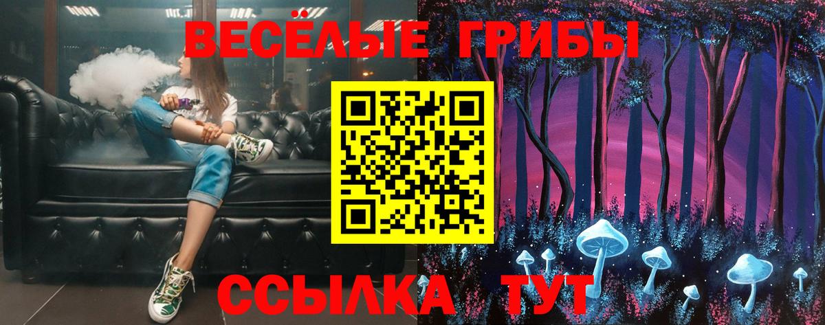 Псилоцибиновые грибы мухоморы  Вход с VPN  Каменка 